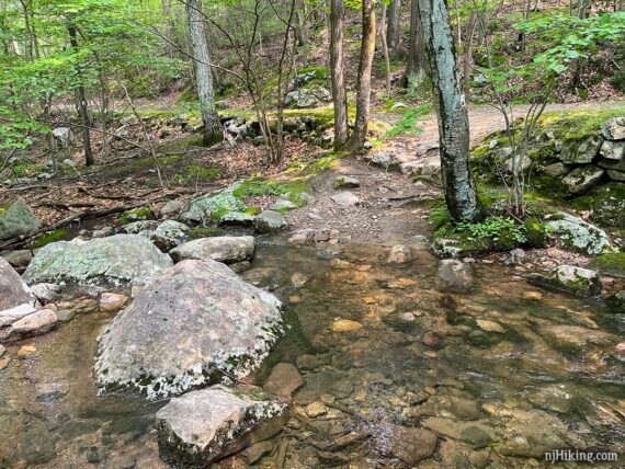 Large rocks to cross a stream.