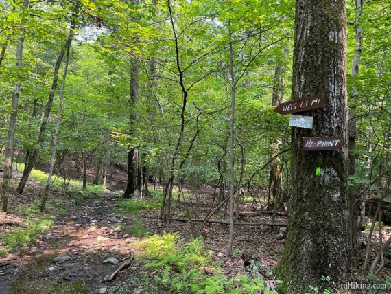 Otter Hole trail with signs for Weis and Hi-Point.