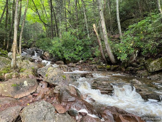 Cascades on a rocky creek.