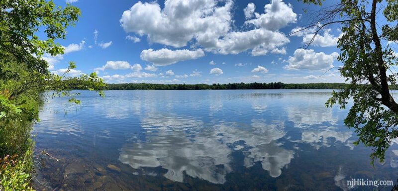 White clouds in a blue sky reflected in Lake Rutherford.