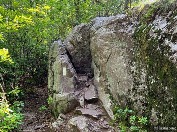 Appalachian Trails scrambling up a rock cleft.