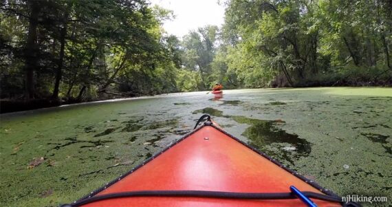 Kayakers on a brook.