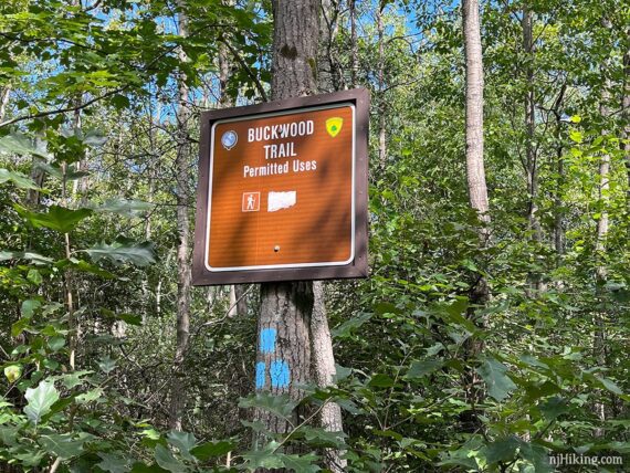 Buckwood Trail sign on a tree with three blue blazes.