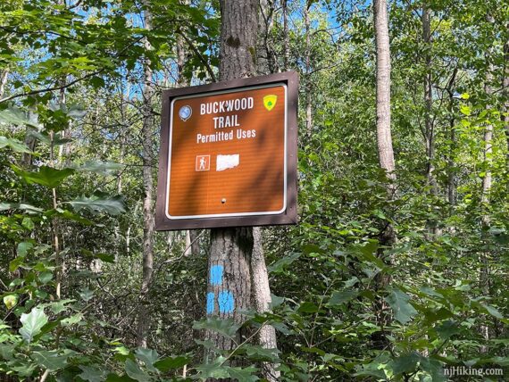 Buckwood Trail sign on a tree with three blue blazes.