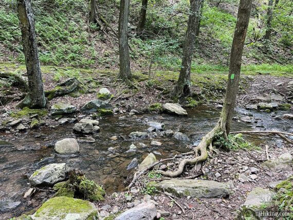 Creek crossing on Dunnfield trail.