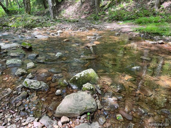 Wide crossing of Dunnfield Creek on rocks.