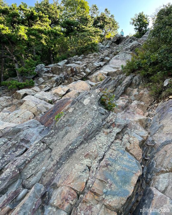 Looking up a long angled rock scramble to a viewpoint on Mount Tammany.