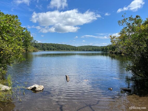 Sunfish Pond from the southern end, near Dunnfield Creek trail.