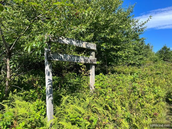 Mount Tammany wooden heliport sign obscured by vegetation.