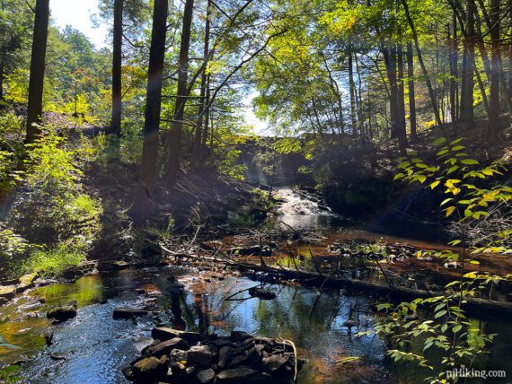 Stream from Stony Brook Lake.