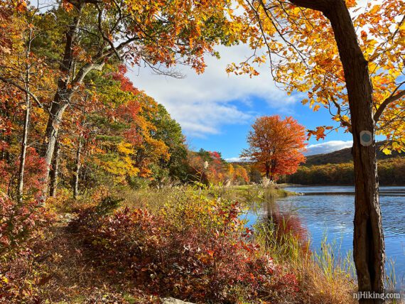 Hiking trail near a lake with orange, yellow, and red fall foliage.