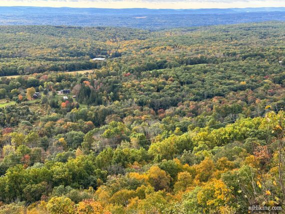 Close up of fall color sprinkled in with green trees in a valley.