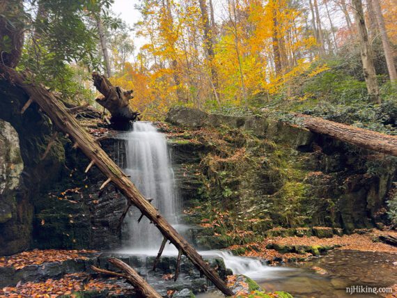 Caledonia Creek waterfall with bright yellow fall foliage.