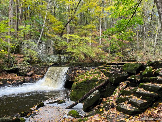 Kay's Cottage ruins with yellow and green foliage and many fallen leaves on the stone steps.