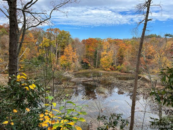 Lake Lenape surrounded by fall foliage.