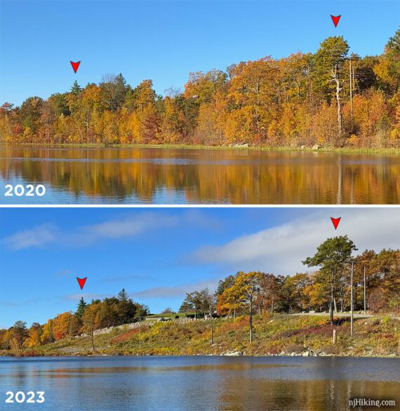 Comparison of trees missing along the shore of Lake Marcia.