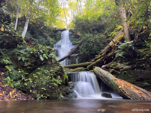 Silver Spray Falls with yellow foliage.