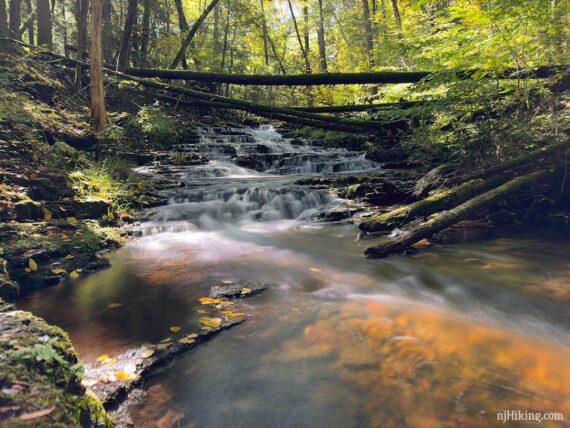 Stepping Stones falls on Stony Brook.