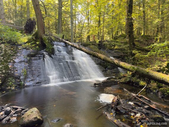 Angled falls on Stony Brook.