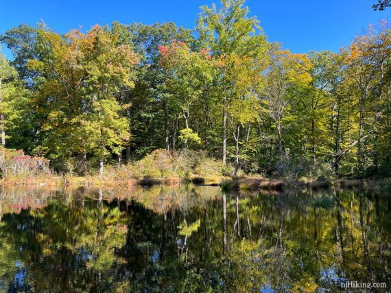 Green, yellow, and orange foliage reflecting in Stony Lake.