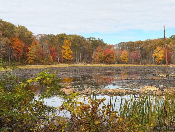 Fall foliage around a small low pond.