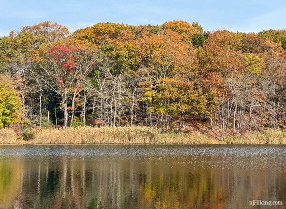 Hooks Creek lake with fall foliage.