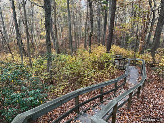 Wooden trail staircase winding through yellow foliage.