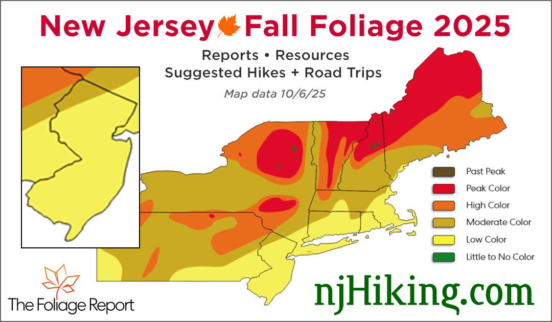 New Jersey Fall Foliage map for 10/6/25.