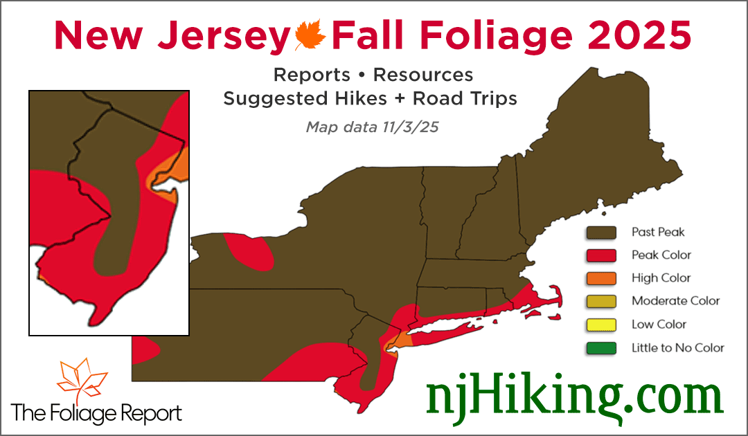 New Jersey Fall Foliage map for 11/3/25.