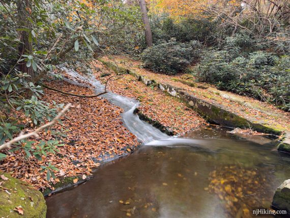 Water cascading down Caledonia Creek into a pool.