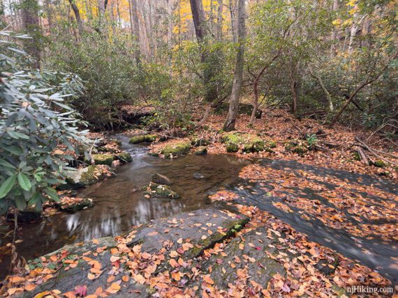 Cascade on creek.