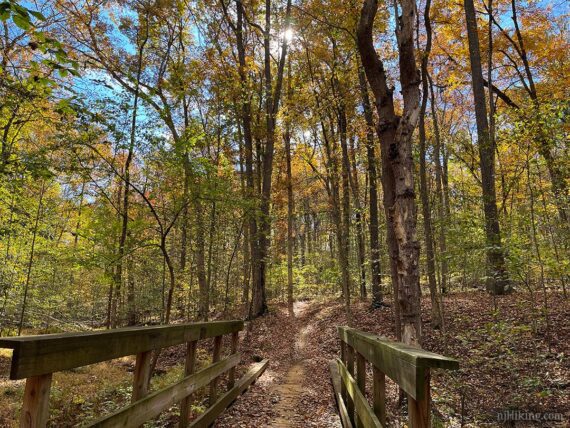 Bridge at Clayton park.