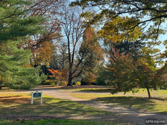 Colonia Park foliage.