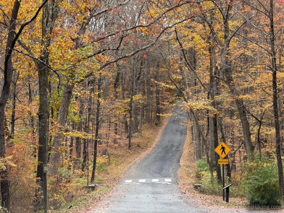 Road through Jockey Hollow.