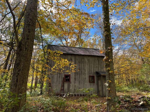 Foliage at Long Pond Ironworks.