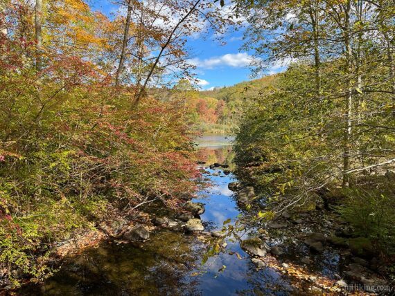 Foliage at Long Pond Ironworks.