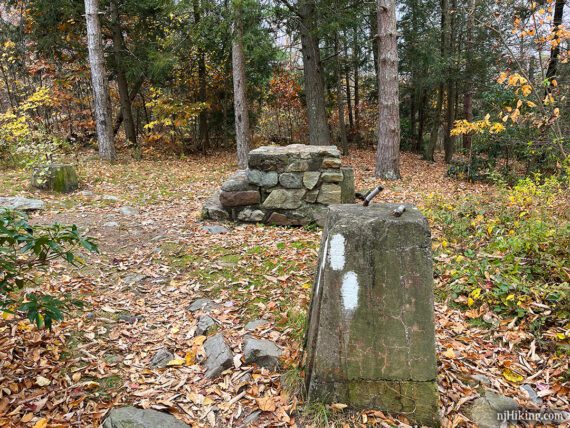 White blazes on a pillar near stone steps.