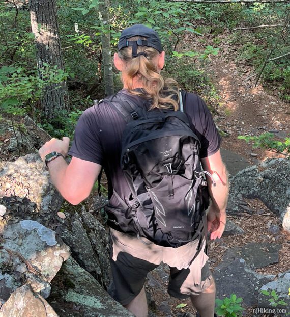 Hiker wearing a backpack.