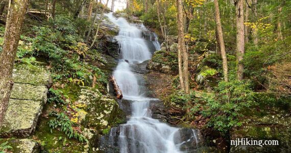 Waterfall cascading over rocks with green foliage surrounding it.