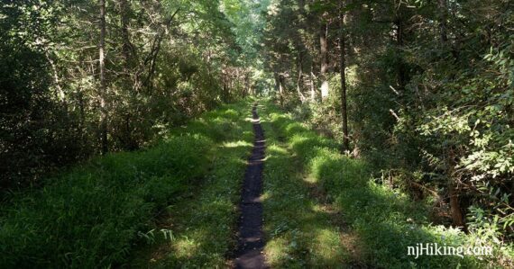 Paulinskill Valley Trail.