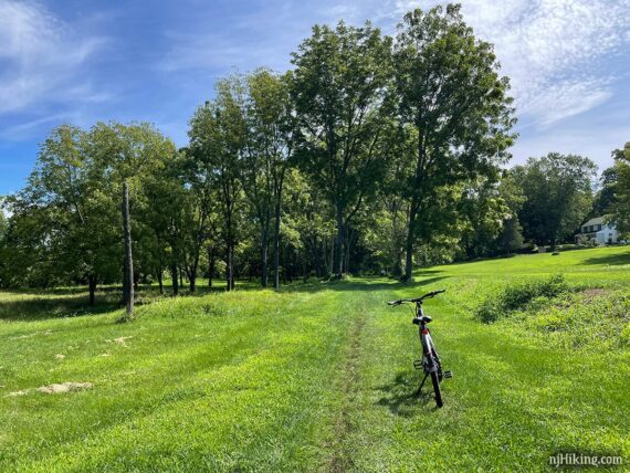 Bike on a grassy trail in an open area.