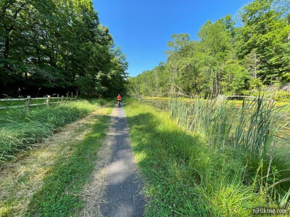 Bike rider on a trail next to water.