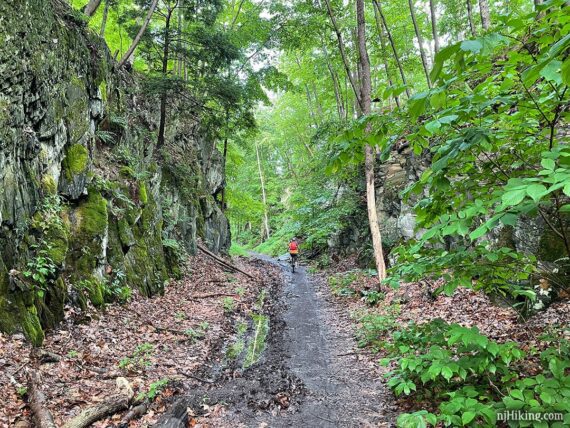 Bike rider on a muddy rail trail going through a cut in a tall rock face.