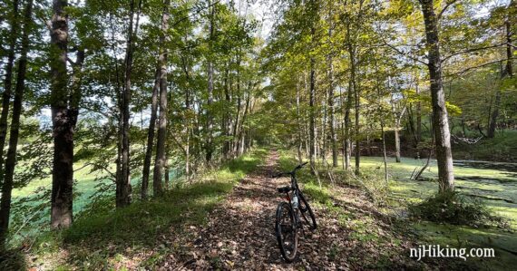 Bike on the Great Valley Rail Trail.