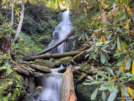 Close up of Silver Spray Falls and rhododendron leaves around it.