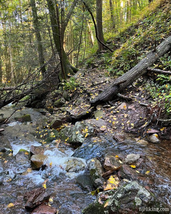 A wet and rocky trail crossing.