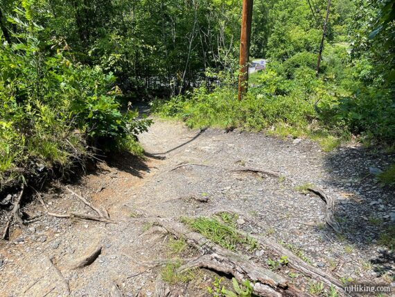 Steep rooty detour around a missing trail section.