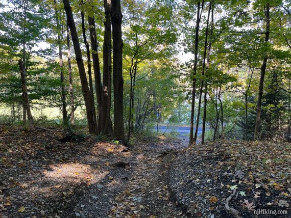 Detour path from trail level down to a road to avoid a missing section.