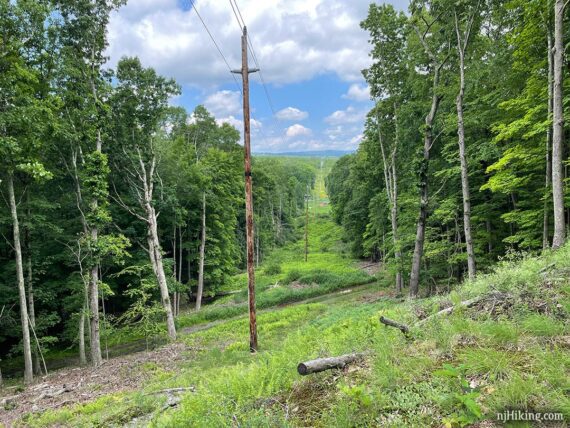 Long straight cut through a forest for a power line.