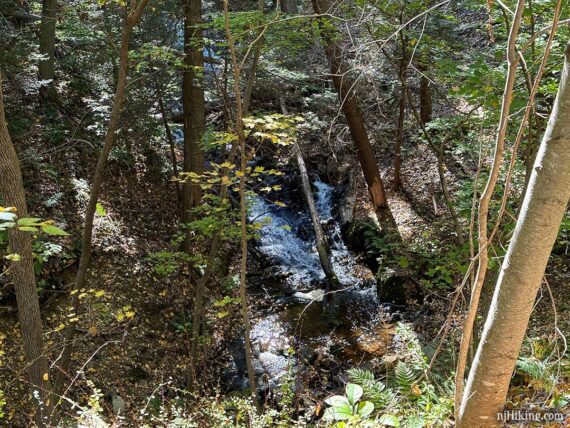 Waterfall seen through trees below the Paulinskill Valley Trail.